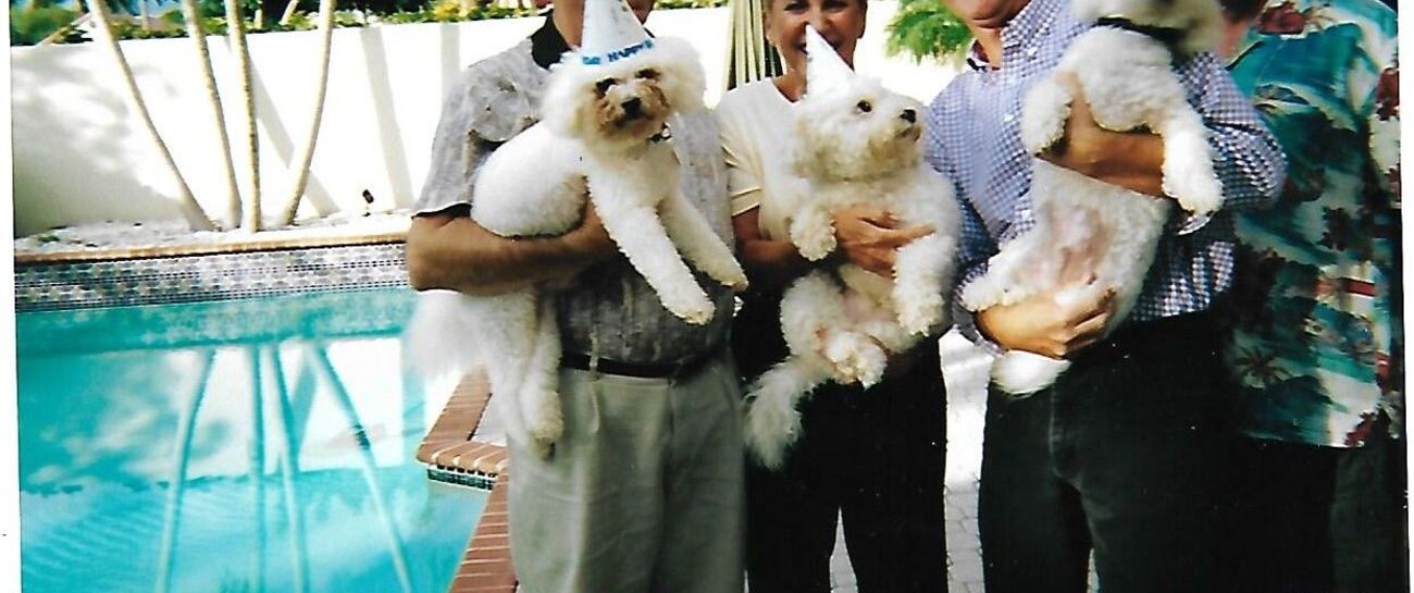 Three Dog Nights