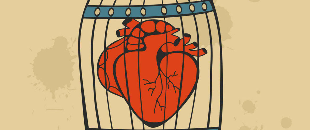 Story of my Heart Story of my Heart
