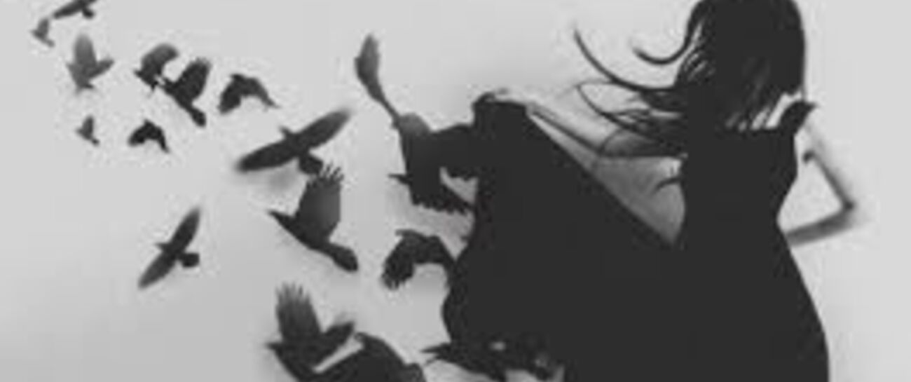 Rescue my swallows