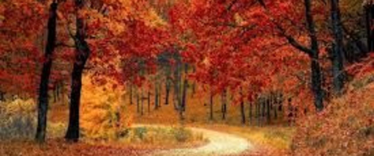 November first two thousand nineteen...