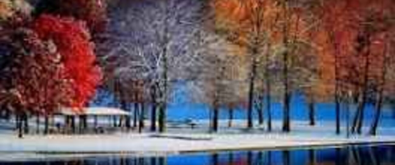 The seasons by and by