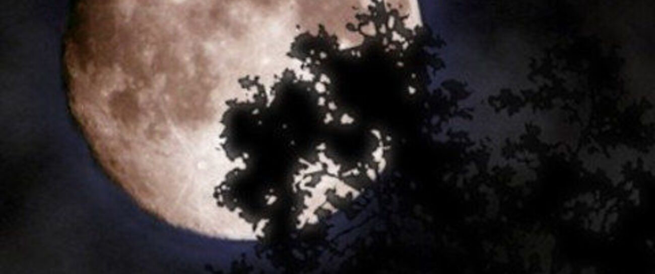 MANY MOONS AGO ( this for Jill tait moon challenge)