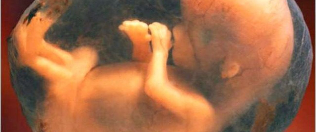 Unborn Child 2