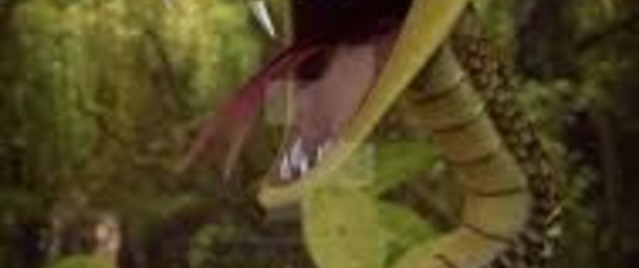 Sid the snake