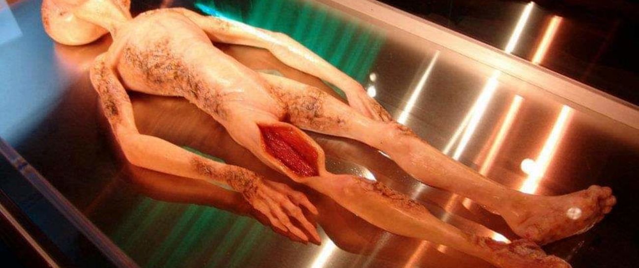 Cadaver of the soul