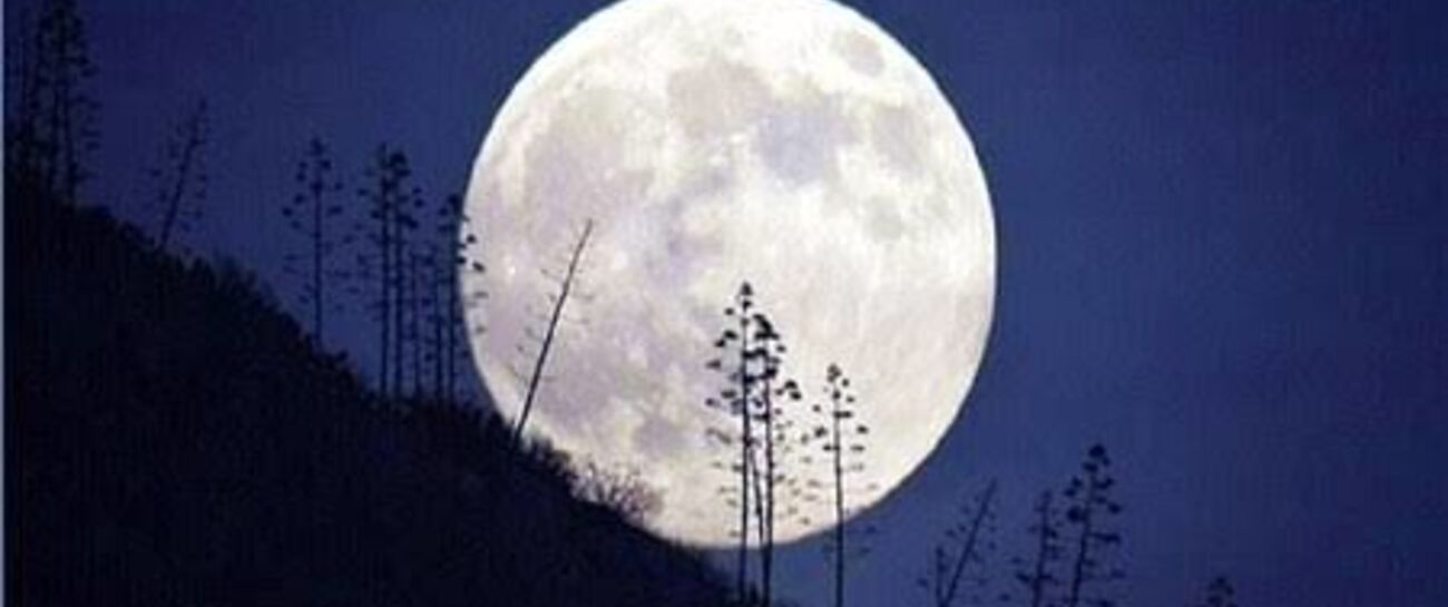 Dear moon.