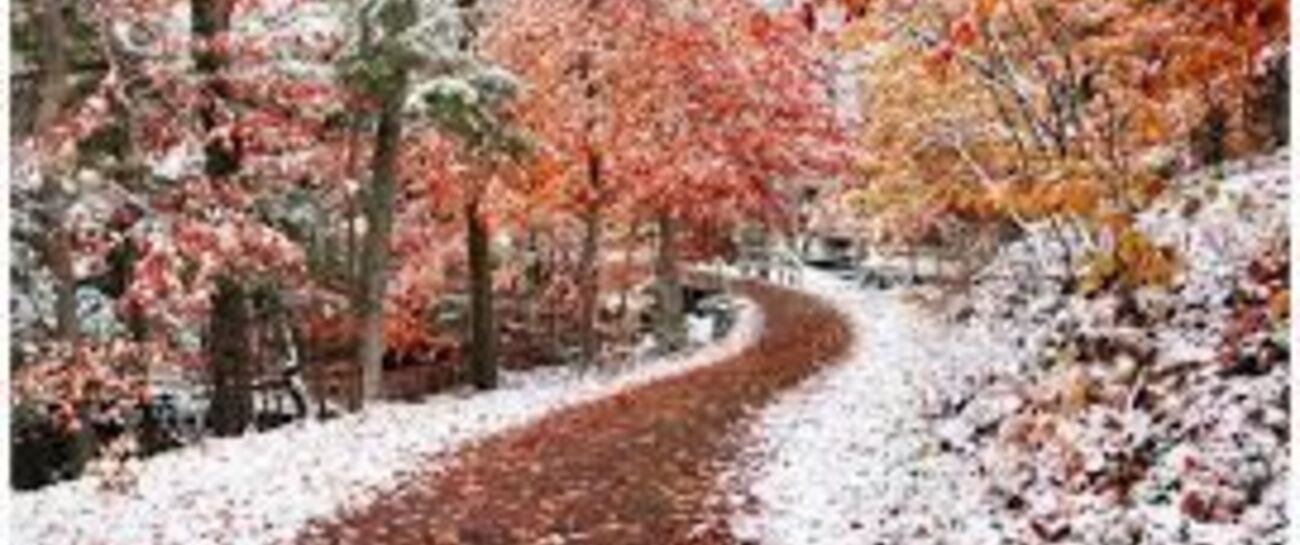On the season’s turn