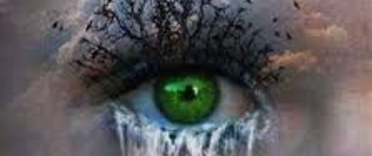 ~ MOTHER NATURE'S CRYING ~