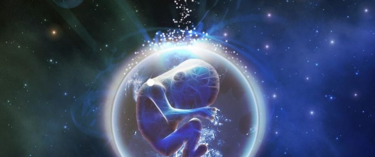 ~ Secrets From The Womb ~