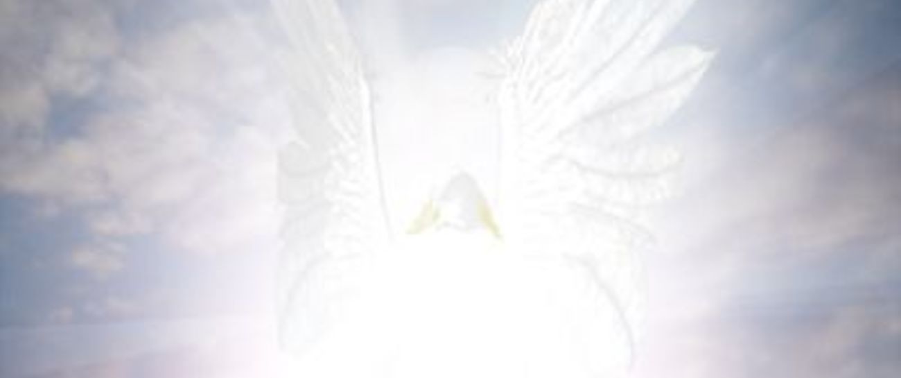 An Angel on your shoulder👼