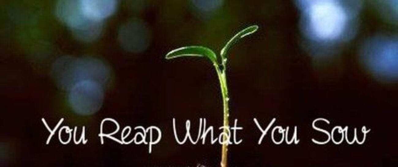 You Reap What You Sow Poem By Jill Tait you-reap-what-you-sow-poem-by-jill-tait