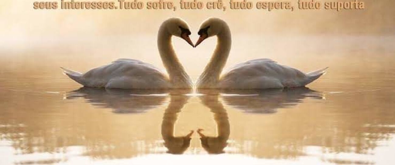 Tè amo mi amorè