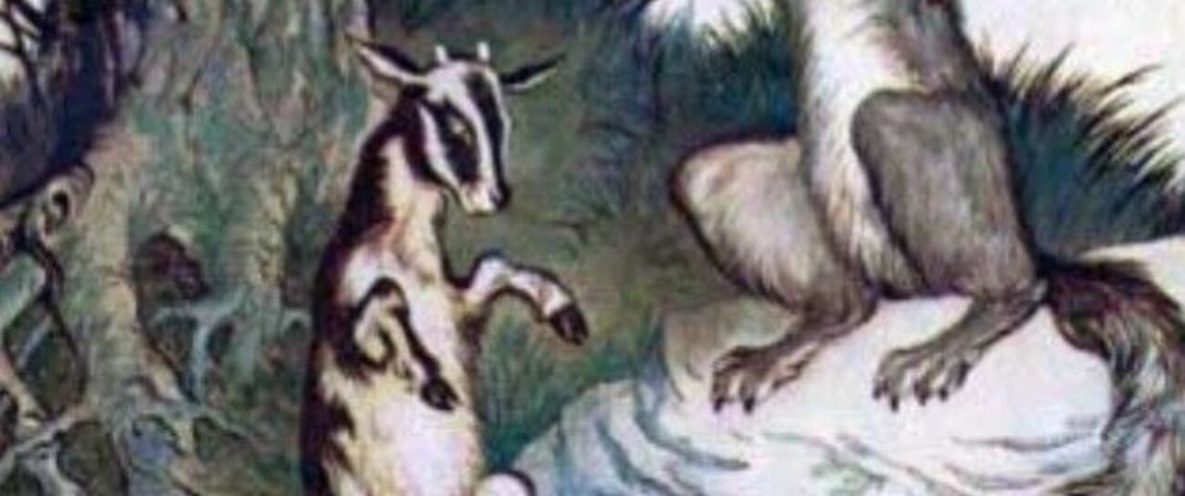 A Wolf is near A Wolf is near