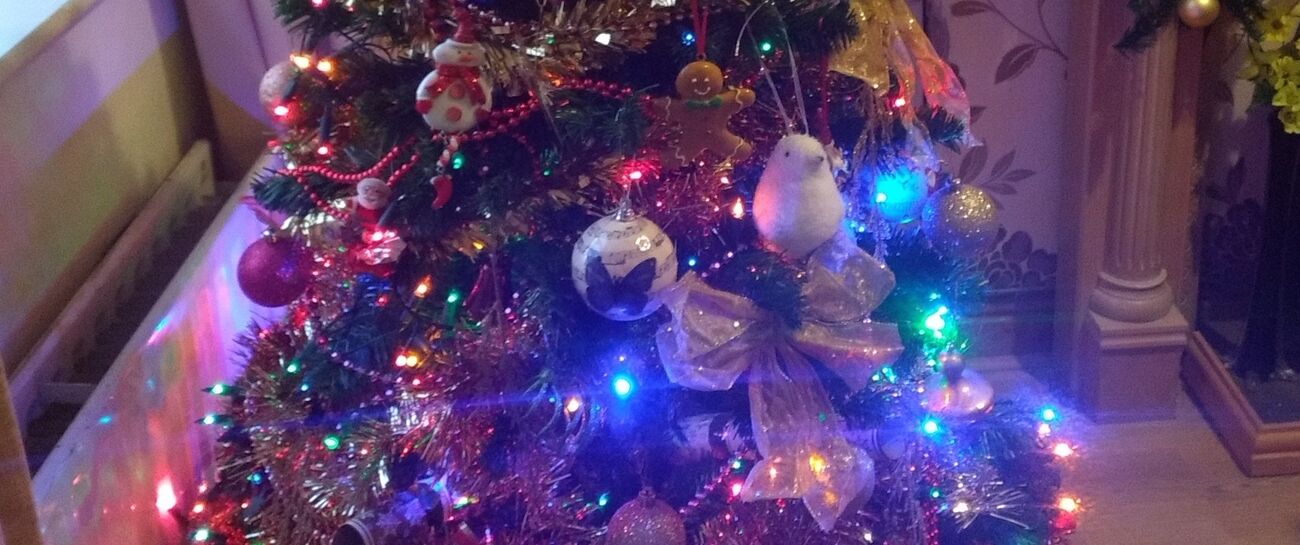 Dear Diary/Someday in December #3 Dear Diary/Someday in December #3