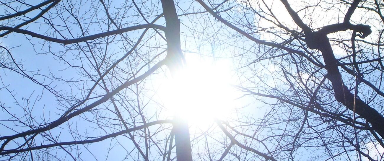 There Is A Light