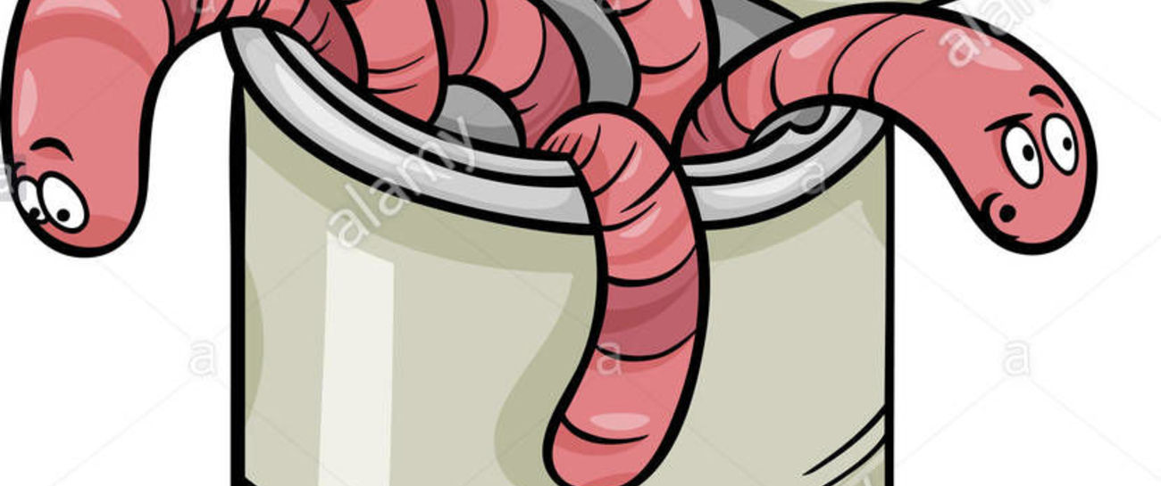 A can of worms