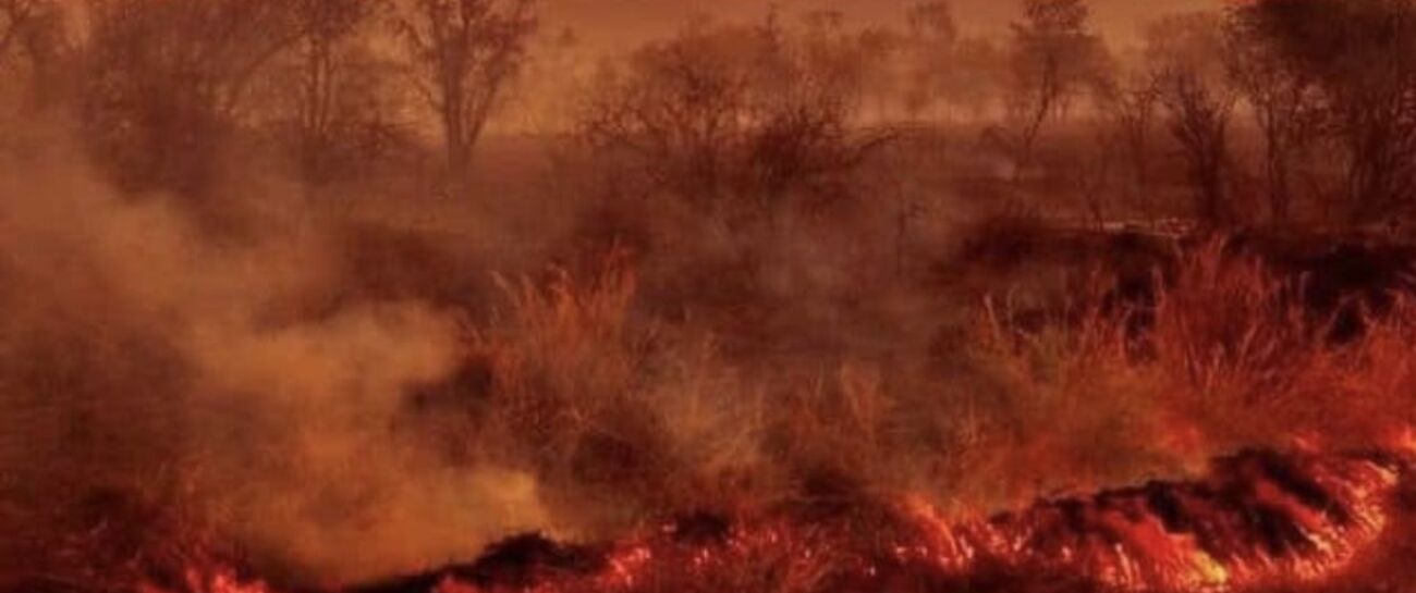 An Australian Apocalypse