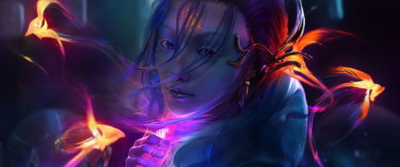 ~ THE WONDERMENT ~