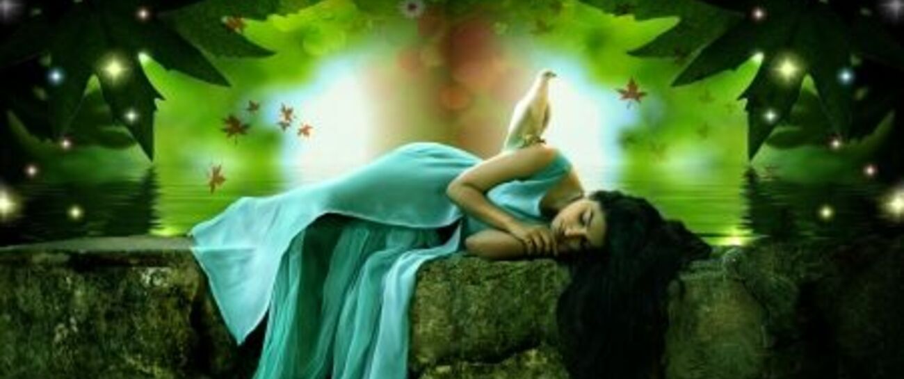 ~ THE HARMONY ~