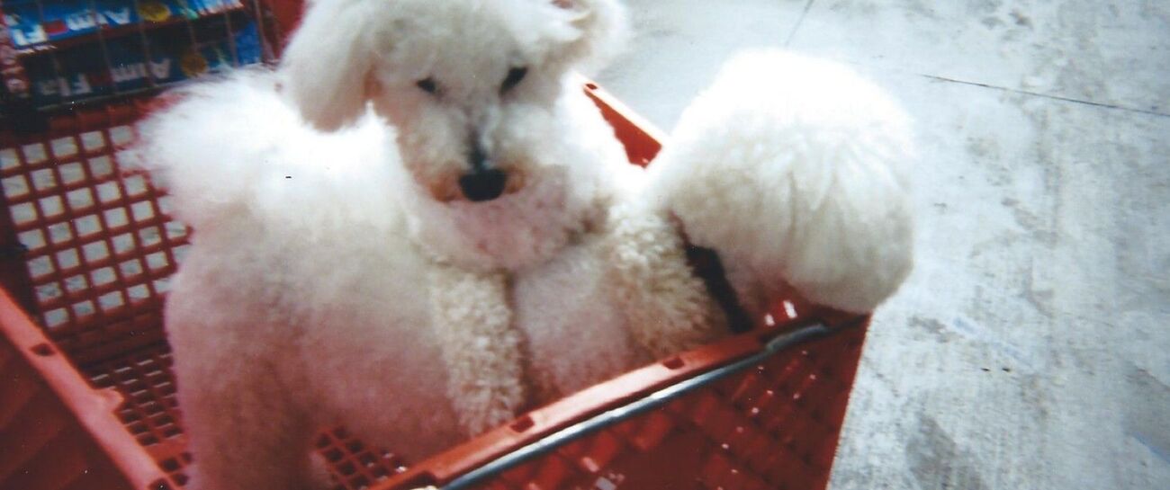 Thirty Months Without You