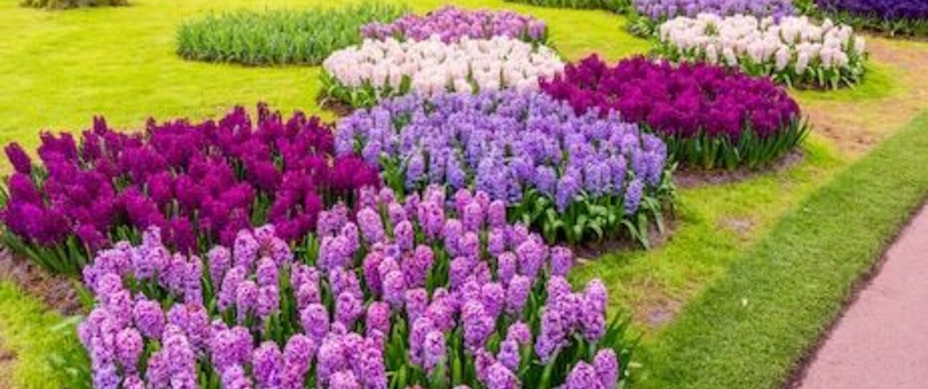 A GARDEN OF LOVE
