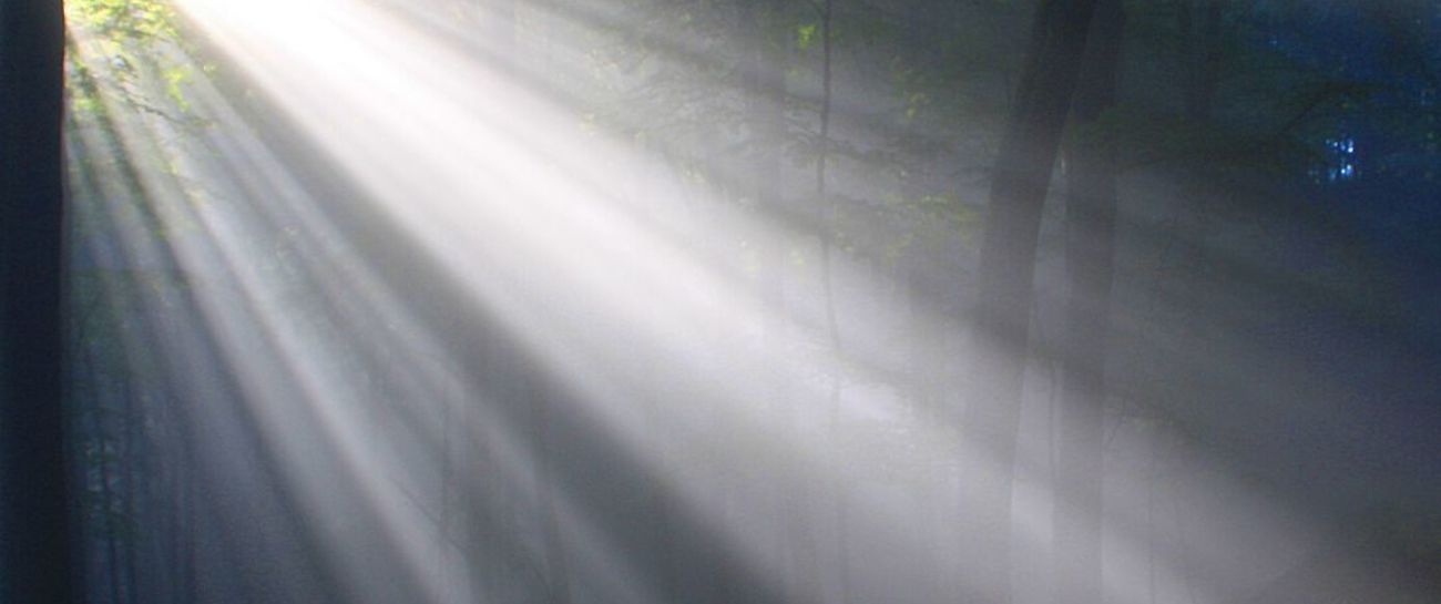 Light