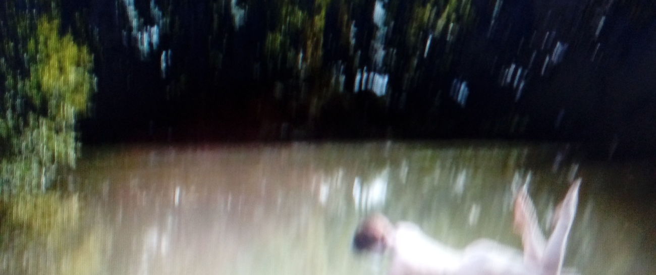 The Naturist