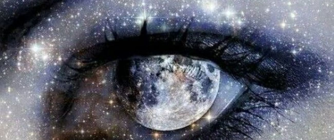 Wild imagination