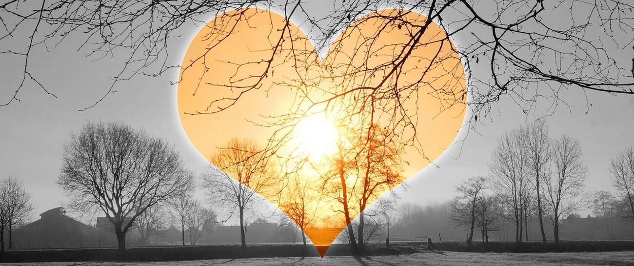 Loves New Dawn