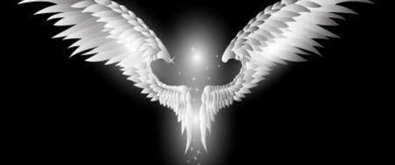~ I AM NIGHT ~