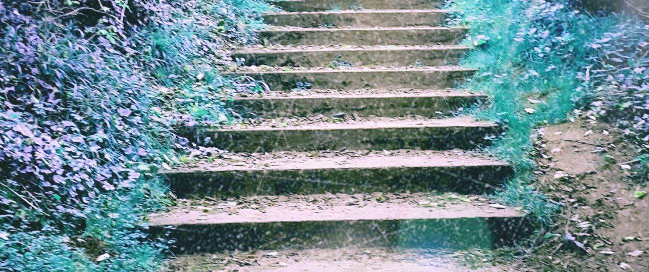 Steps