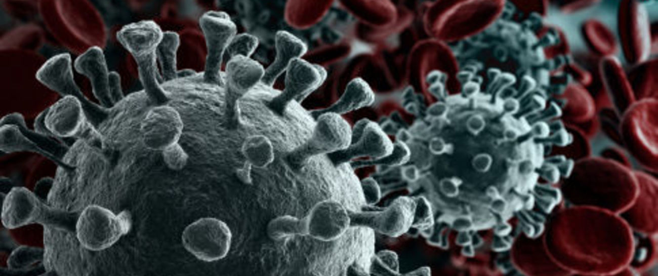 Corona Virus