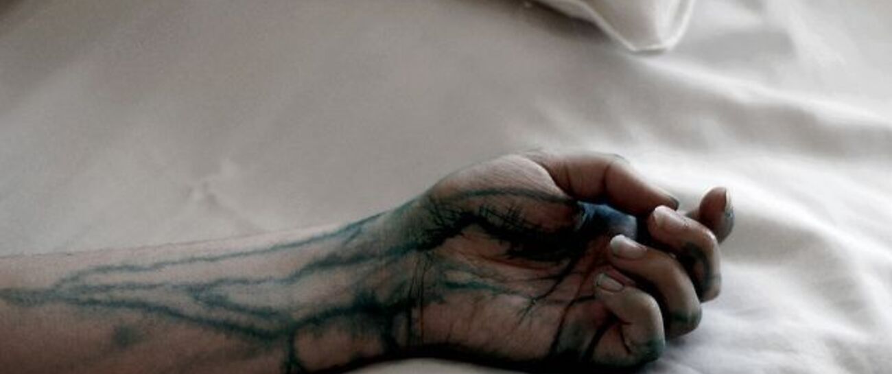 Veins