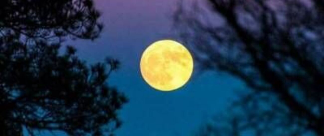 That Old Mr.Moon 🌕
