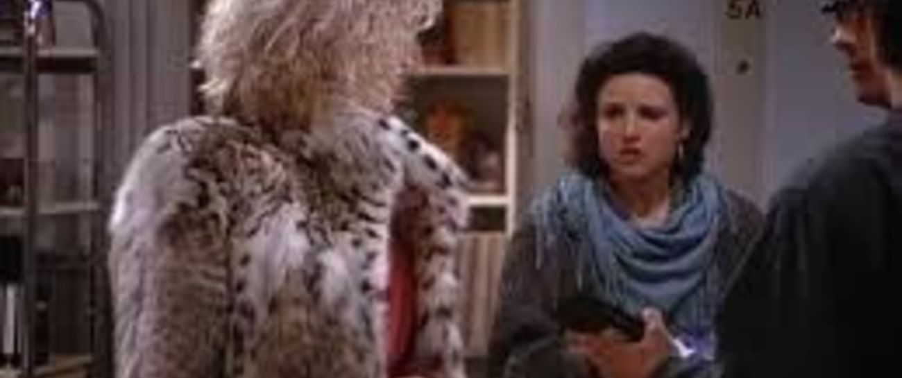A Confrontation With Elaine Benes