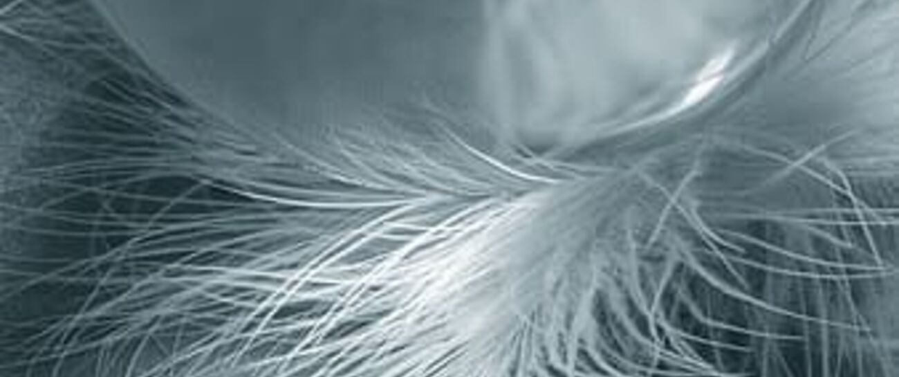 Whisper