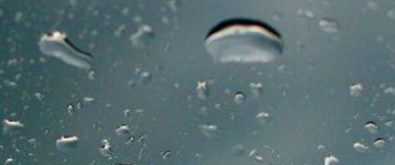 Rain Fell Dry