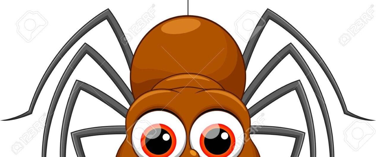 Insey winsey spider π·