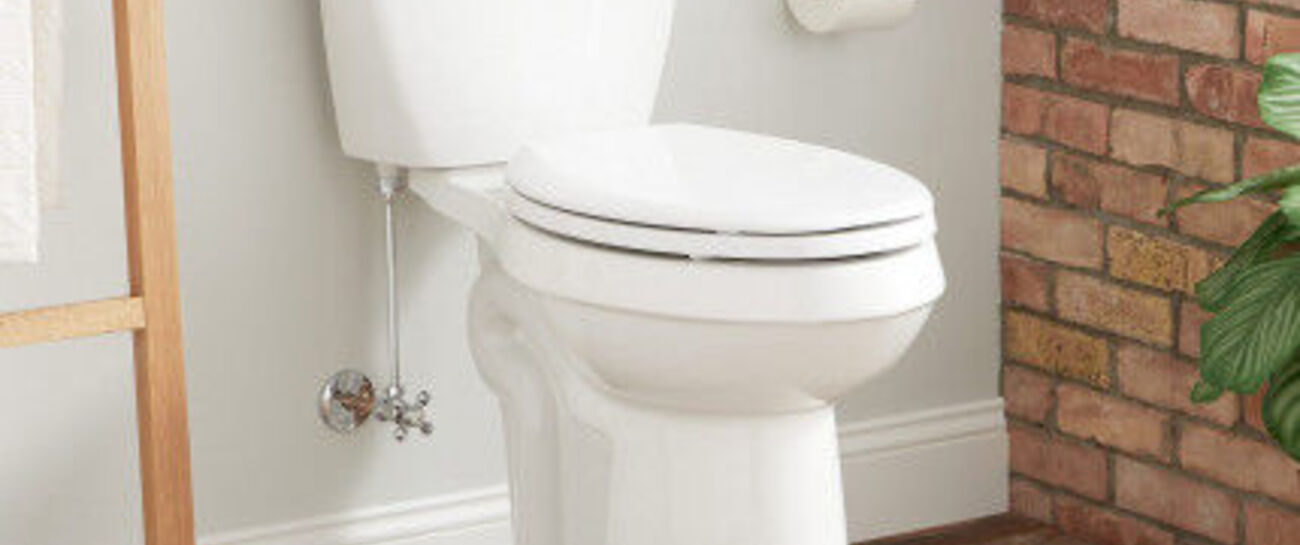 Defecation clogged toilet bowl courtesy metamucil..