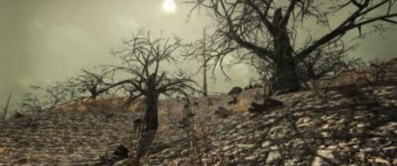 Leave me to the Wastelands
