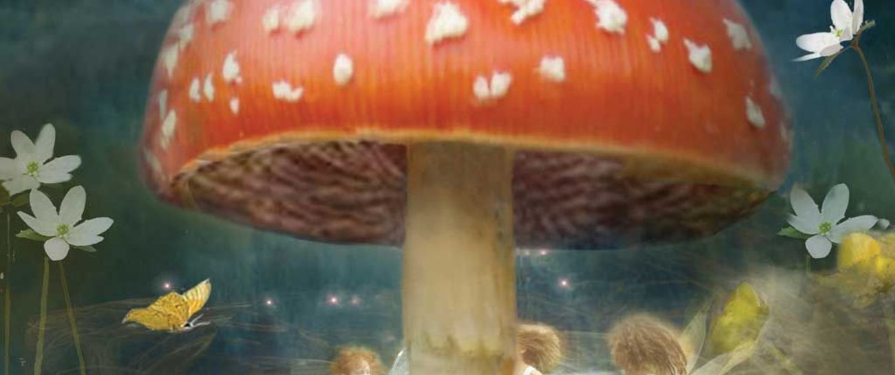 Those Folklore Fairies π§ββοΈπ§