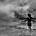 I WANT TO FLY..
