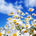 Spring and seasons on earth