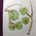 Chestnuts/Conkers 2