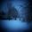 This Winter Dream