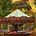 Life is like a Merry Go Round