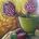 Cubist/Expressionism King Protea