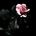 Dark Emotion