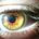 A Study in the Eye