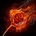My Enflamed Rose